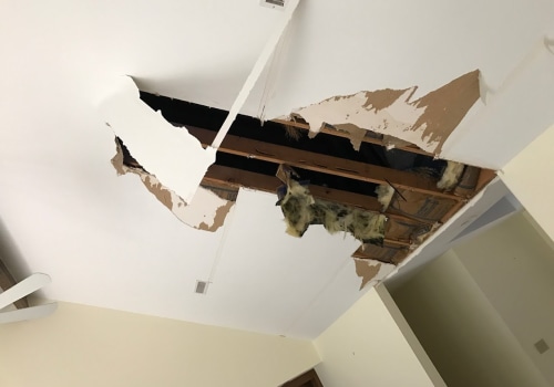 The Devastating Effects of Water Damage and the Importance of Timely Action