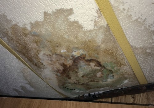 The Hidden Dangers of Mold Growth After a Water Leak