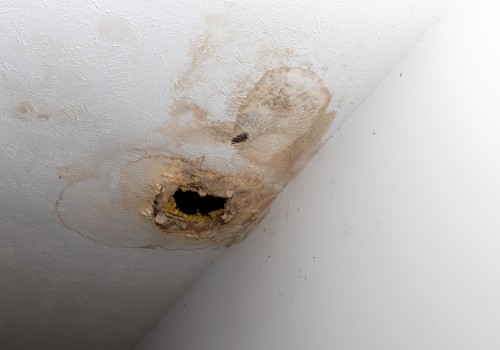 The Hidden Dangers of Water-Damaged Drywall