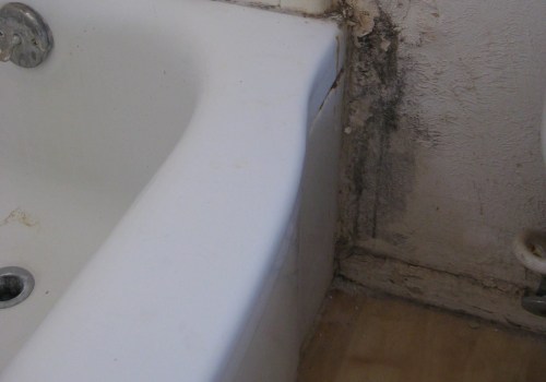 Expert Tips for Detecting Water Damage in Your Home